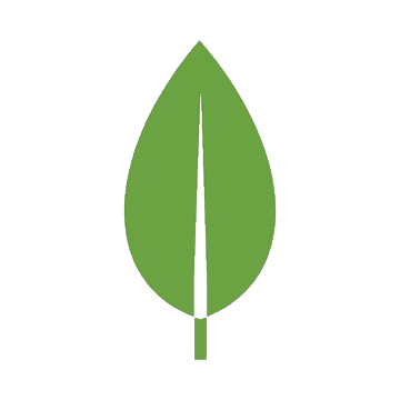 MongoDB